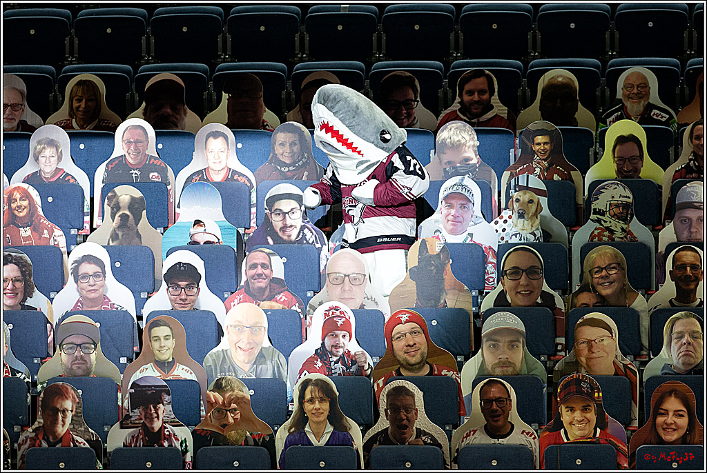 PENNY DEL;  Koelner Haie - Fischtown Pinguins Bremerhaven; Koeln, 12.02.2021